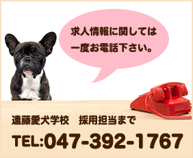 求人情報に関しては一度お電話下さい。　遠藤愛犬学校　採用担当まで　TEL:047-392-1767