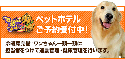 ペットホテル御予約受付中！